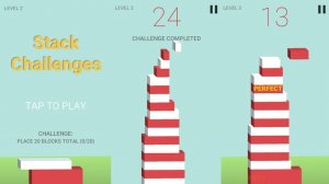 Tower Builder Balance Puzzle