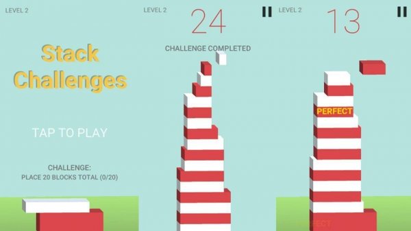 Tower Builder Balance Puzzle