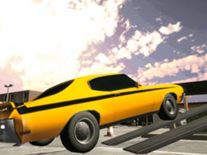 Backyard Car Parking Simulator 3D