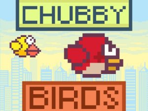 Chubby Birds Flying Game