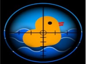 Duck Shoot Online Game
