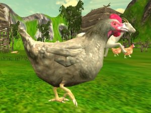 Chicken Shooting Online Game