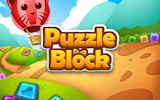 Puzzle Block - Brain Teaser Game