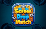 Screw Drop Match Puzzle Game