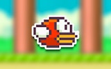Angry Flappy Bird precision fighter