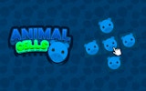 Animal Cells Puzzle Game