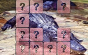 Crocodile Memory Match Puzzle Game Online