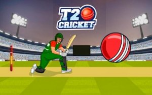 Quick Cricket Batting Duel