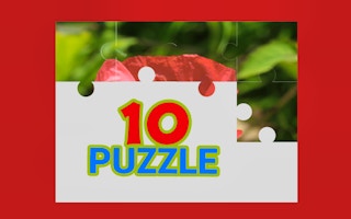 TenPuzzle - Free Online Puzzle Game