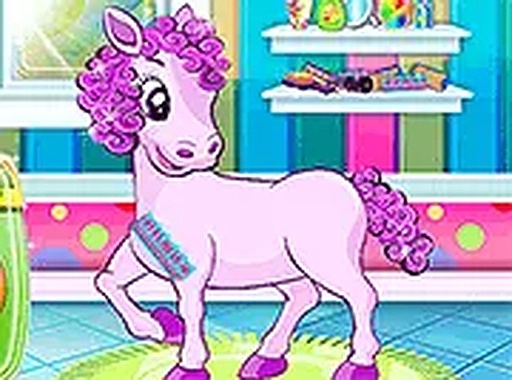 Horse Grooming and Style Studio