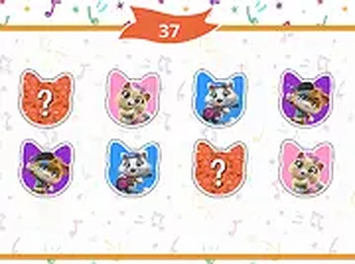 Feline Match & Recall